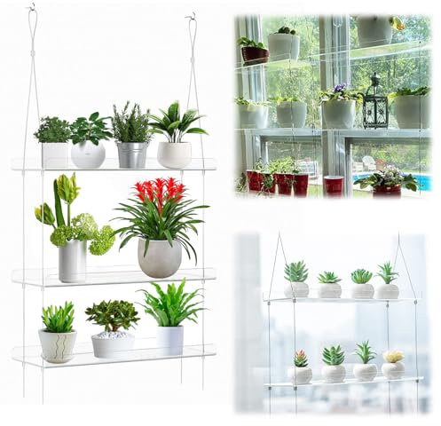 Étagère murale transparente pour fenêtre, pot de fleurs, 3 niveaux, en plastique transparent, flottante, en acrylique, pour fleurs, herbes, semis