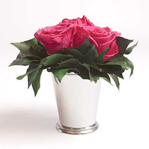 ROSEMARIE SCHULZ Heidelberg Infinity Blume in silberfarbenen Becher 1 ewige Rose konserviert Blumenstrauß langhaltend (Magenta, 3 Rosen)