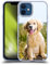 Head Case Designs Golden Retriever Welpe Beliebteste Hunderassen Softgelhülle Kompatibel Mit Apple iPhone 12 / iPhone 12 Pro Und Kompatibel Mit MagSafe Zubehör