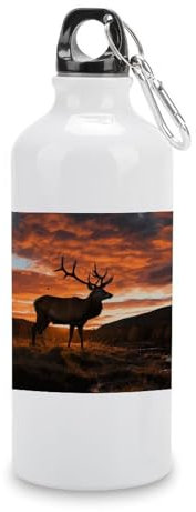 HKMNTGD Leak Proof Water Bottles Mens Red Deer Bull Elk Sunset Printed Travel Aluminum Sport Water Bottle Great for Gym Or Outdoor Sports Like Hiking Camping And Cycling