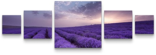 Paul Sinus Art Leinwandbilder | Bilder Leinwand 160x50cm Lavendel Feld