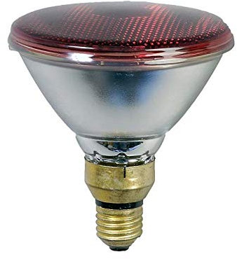 Eider Infrarot Energiesparlampe, Wärmelampe, E 27 Sockel - 100 Watt