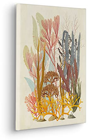 Komar Keilrahmenbild im Echtholzrahmen - Coral Aqua - Größe 30 x 40 cm - Wandbild, Kunstdruck, Wanddekoration, Design, Wohnzimmer, Schlafzimmer