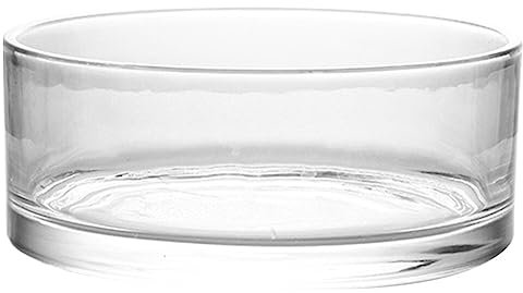 TOVINANNA Vase Bol en Verre Large Cylindre en Verre Terrarium Hydroponique Poêle Plate Récipient À Fleurs Pièce Maîtresse De 20Cm