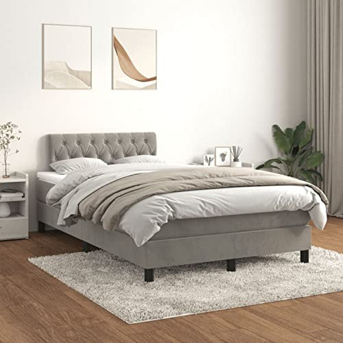 Juroupi Boxspringbett mit Matratze Hellgrau 120x200 cm Bett Mit Matratze Boxspringbett Matratze Betten Boxspringbett Samt