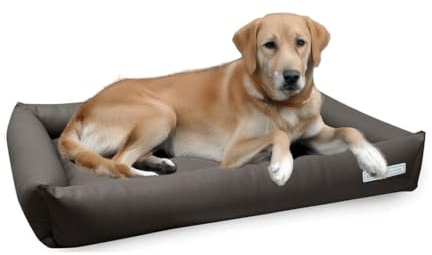 dogsfavorite, Hundebett Starter aus Kunstleder, Hundekissen, Pflegeleicht, 100 x 75 cm, Taupe