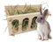Kaninchen Heu Feeder Holz Heu Krippe Faltbare Hase Heu Feeder Gras Futter Regal Feste Heuraufe Heu Spender für Meerschweinchen Haustier Grashalter Käfig Zubehör für Hamster Chinchilla Kleintiere