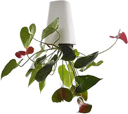 BLOSSOMLIFE Indoor Upside Down Planter Hanging Planters Plant Hanger Hanging Pots Plant Holder Hanging Baskets for Plants Home Decor (White)