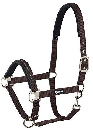 Standard Halfter PIN BUCKLE