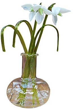 Artificial Flowers (Daffodils, Poppies, etc) in a Glass Vase Ornament | A Beautiful Home Decor and Gift for Special Occasions Including Mother’s Day, Birthday and Christmas, etc (Snowdrop)