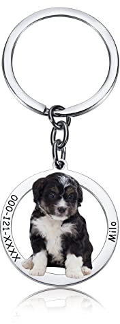 MeMeDIY Porte-clés Personnalisé avec Étiquettes de Chien/ID D'étiquettes pour Animaux de Compagnie, Pendentif Images/Texte, Porte-clés Personnalisé pour Les Amoureux des Animaux de Compagnie