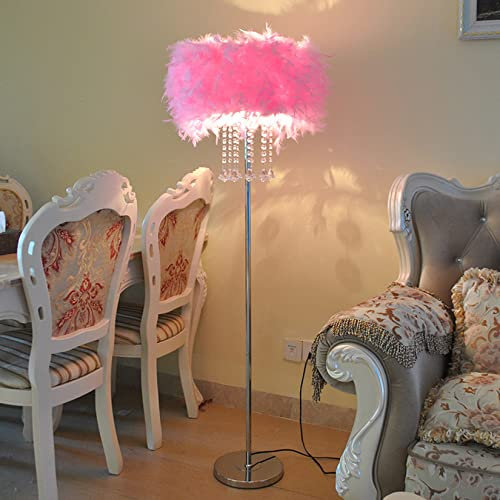 AIBOTY Lampadaire Plume avec Cristal, Fluffy Blanc/Rose Plume Lampadaire Moderne Romantique Lampe de Lecture de Chevet pour Salon Chambre, Interrupteur à Pied, 59 de Hauteur, E27,Rose
