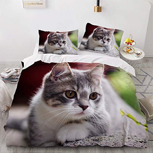 YASMENG Katzen Bettwäsche 155x220 3 Teilig Katzenmotiv Grau Kinder 3D Bettwäsche Weich Mikrofaser Bettwäsche für Jugendliche Kinder Zimmer Deko Geschenke mit Reißverschluss und 2 Kissenbezüge 80x80 cm