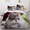 YASMENG Katzen Bettwäsche 155x220 3 Teilig Katzenmotiv Grau Kinder 3D Bettwäsche Weich Mikrofaser Bettwäsche für Jugendliche Kinder Zimmer Deko Geschenke mit Reißverschluss und 2 Kissenbezüge 80x80 cm