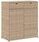 vidaXL Gartenschrank, Geräteschrank mit viel Stauraum, Beistellschrank Schrank mit Türen, Balkonschrank Terrassenschrank, Beige Poly Rattan