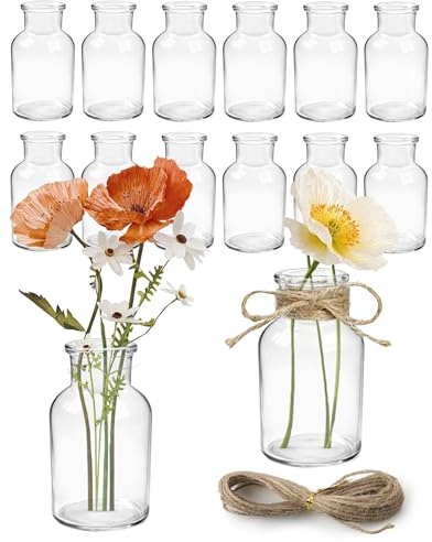 12 Mini Jarrones de Cristal 125ml con 5m de Cuerda de Yute Apto Lavavajillas Estilo Vintage para Decoración de Mesa Bodas Fiestas Hogar y DIY Floral