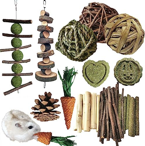 Kaninchen Spielzeug, Kleintiere Kauspielzeug für kleine Tiere, Molarspielzeug, Zahnpflege, Holzzubehör für Meerschweinchen, Chinchillas, Rennmäuse, Mäuse, Ratten, Maus (Kauspielzeug-Set A)