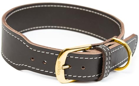 CopcoPet Hundehalsband Leder – Handgefertigtes Lederhalsband für mittelgroße, große Hunde – Halsband Hund – Verstellbar & Robust – Zoe, Braun, 45 – 50cm 40mm breit, Messing Beschläge