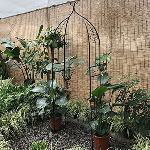 ZYFA Rosenbogen Rosen Garten Torbogen Bogen Rankhilfe Rosenhilfe aus Metall witterungsbeständig für Kletterpflanzen,Pflanzen zur Unterstützung von Rosen,Gartendekoration,Rosen und Blumen