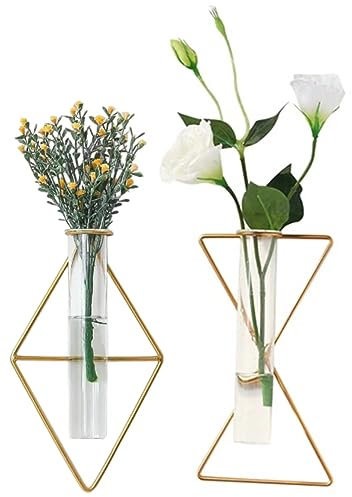 2 Pack Nordic Gold Wall Vase,Hanging Geometric Metal Vase Hydroponic Planter,Wall-Mounted Glass Tube Bud Vase Decorative for Centerpieces Wedding Home Decor(Gold 11)
