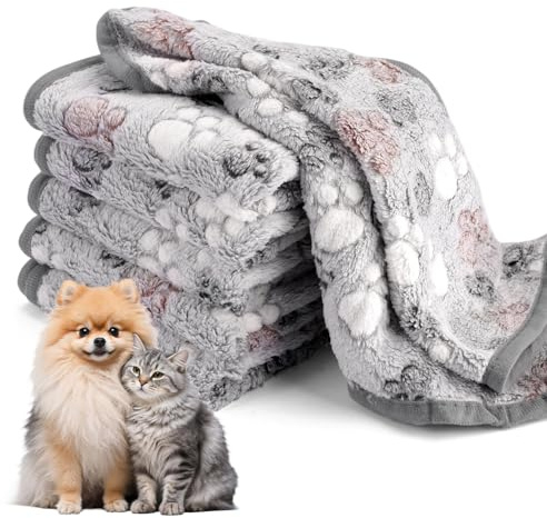 Zykra 6 Stück Flauschige Hundedecke, 60 x 40 cm, Grau | Kuscheldecke, Wasserdicht, Plüsch Fleecedecken, Für kleine mittlere Hunde Katzen, Meerschweinchen kleine Tiere