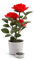 ABOOFAN Lampes Solaires En Plein Air Lampes Solaires Chambre Éclairée Artificielle Rose Pot Extérieur Lampes Solaires Métal Rose Lampes Solaires En Plein Air Roses Jardin Lumière Lanterne