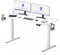 FLEXISPOT 140 * 60cm Electric Standing Desk, Height Adjustable Ergonomic Stand up with 2 Memory Preset and Backpack Hook, White