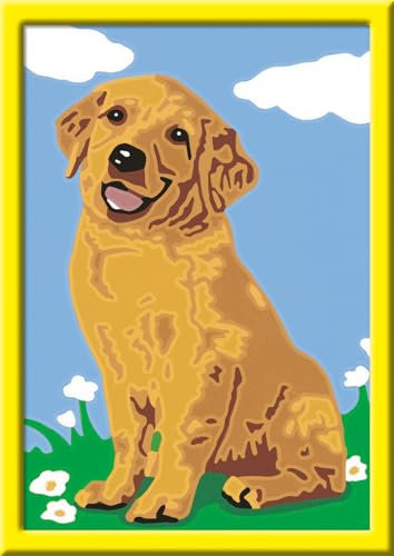 Ravensburger CreArt 28511 - Kleiner Golden Retriever - Malen nach Zahlen Hund für Kinder ab 7 Jahre, Malset mit Rahmen, Pinsel und Acrylfarben, Geschenk für Mädchen und Jungen