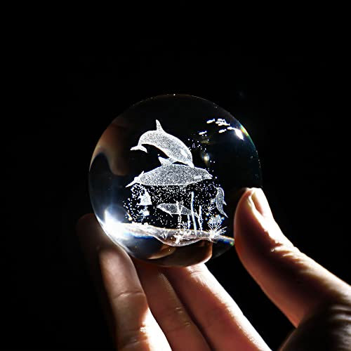 HDCRYSTALGIFTS Delfin-Kristallkugel, Briefbeschwerer mit Ständer, 60 mm, 3D-Lasergravur von Meerestierfiguren, Glaskugeln, dekorative Kugeln, transparent