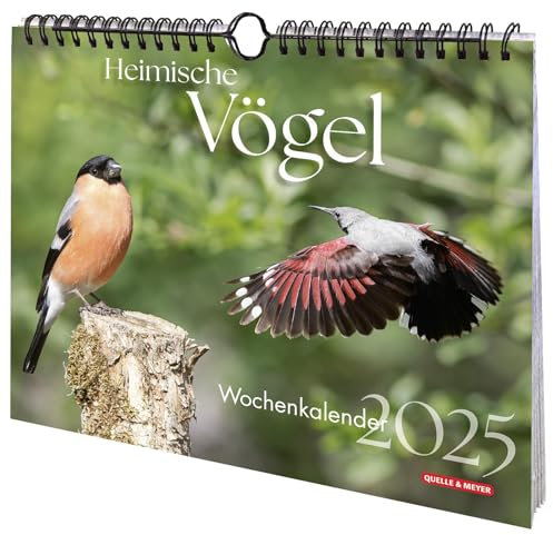 Heimische Vögel 2025: Wochenkalender