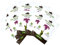 Concime liquido per Orchidee - Cifo - 2,5 ml per bustina (10 bustine)