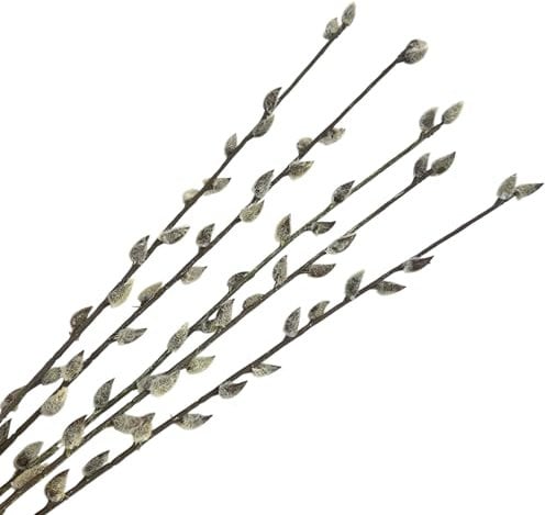 naninoa Künstliche, große Weidenkätzchenzweige, 5 Stück ca. 83cm. Palmkätzchen-Zweig, Weidenkätzchen, Osterdeko, Frühlingsdeko, Kunstzweig Groß