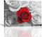 Rote Rosen auf schwarzer und weißer Leinwand, Giclée-Druck, moderne Leinwandkunst, Holzrahmen, Wandbilder Groß, Gemälde für Wohnzimmer, Büro, Schlafzimmer, Dekoration, Bild, 40,6 x 30,5 cm