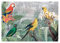 Fototapete Papagei Tiere Pflanzen Dschungel Wohnzimmer Schlafzimmer Wandtapete Vlies Tapete Latexdruck UV-Beständig Geruchsfrei Hohe Auflösung Montagefertig (13646, V8 (368x254 cm) 4 Bahnen)