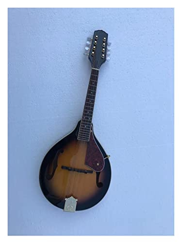 Zengxue Profesional 8 Cuerdas Mandolin F Guitar Spreson Spruce Top Glossy Sunburst Color Principiantes mandolina
