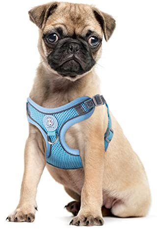 Hundegeschirr Katzengeschirr Set mit Leine ausbruchsicher - Antizug Geschirr mit Brustring Mesh Brustgeschirr für Katzen & kleine Hunde Hellblau S