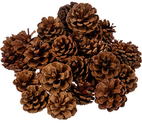 Zimt-Tannenzapfen duftend, 0,9 kg Packung, rustikale Weihnachtsdekoration, Mini-Tannenzapfen zum Basteln, Tannenzapfen, Ornamente
