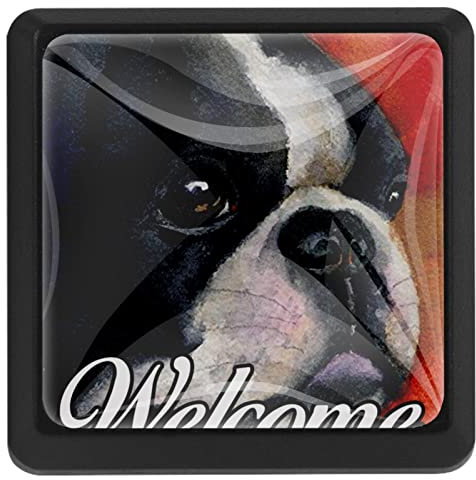 BUJOJUB Willkommen und Hund, 3 Stück Schubladenknöpfe, Schubladengriffe, Schrankknöpfe, Möbelknöpfe, Kommodenknöpfe für Küche Schrank