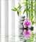 Art Green Bamboo Zen Shower Curtains Set, Spa Stones and Orchids Flowers Polyester Fabric Bath Curtain with Hooks Bathroom Decor 72 X 72 Inch
