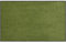 Salonloewe Fußmatte waschbar Salbei 75x120 cm Sauberlaufmatte, Fußabtreter außen, Motiv-Fußmatte, Wohnmatte
