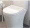 Ceramica Arles Soft Close D Shape White Toilet Seat