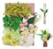 AIM & GGKK Natürliche Trockenblumen Klein Grün,Strohblumen getrocknet Zum Basteln für DIY-Kerzenharz, deko hochzeitsgeschenk,Karten Deko,Trockenblumen Weihnachten,Geschenkverpackungen