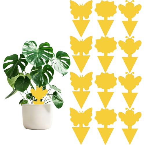 UUNEYX Fruit Fly Traps,Double-sided Fungus Gnat Killer Yellow Sticky Fly Traps Insect Catcher for Multiple Insects,Indoor Plants (12 Pcs)