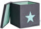 LOVE IT STORE IT Aufbewahrungsbox mit Deckel - Kiste für Regal aus Stoff - Verstärkt mit Holz, belastbar bis 30 kg - Abwaschbar - Grau mit grünem Stern - 33x33x33 cm