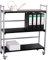 Rollregal/Ordner-Rollwagen HxBxT: 100x89x30cm, 3 Böden, schwarz, Made in Germany (Marke: Szagato) (Ordnerrollwagen, Ordnerregal, Büroregal, Bürowagen, Aktenwagen, Rolltisch)