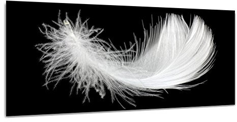 DekoGlas Glasbild 'Feder' Echtglas Bild Küche, Wandbild Flur Bilder Wohnzimmer Wanddeko, einteilig 125x50 cm