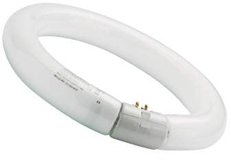 SYLVANIA CIRCLINE 32W D.31CM G10Q 840 (Vendu par 1)