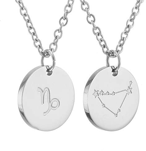 AFSTALR Sternzeichen Kette Steinbock Silber für Damen Horoskop Kette Mutter Tochter Freunde Geburtstagsgeschenk