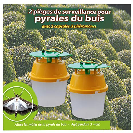 Piege Contre la Pyrale du Buis Pack de 2 Pièges XL Pro à Phéromones Deux recharges Pheromones Incluse