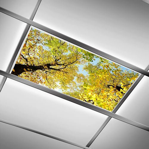 DIQISHIZHU Fluorescent Light Covers for Classroom Office - 2ft x 4ft LED Light Filters, Eliminate Harsh Glare & Eyestrain, Decorative Classroom Light Covers, Light Diffuser Panel.Golden Tree